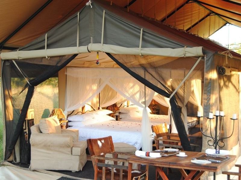 Irungu forest safari lodge